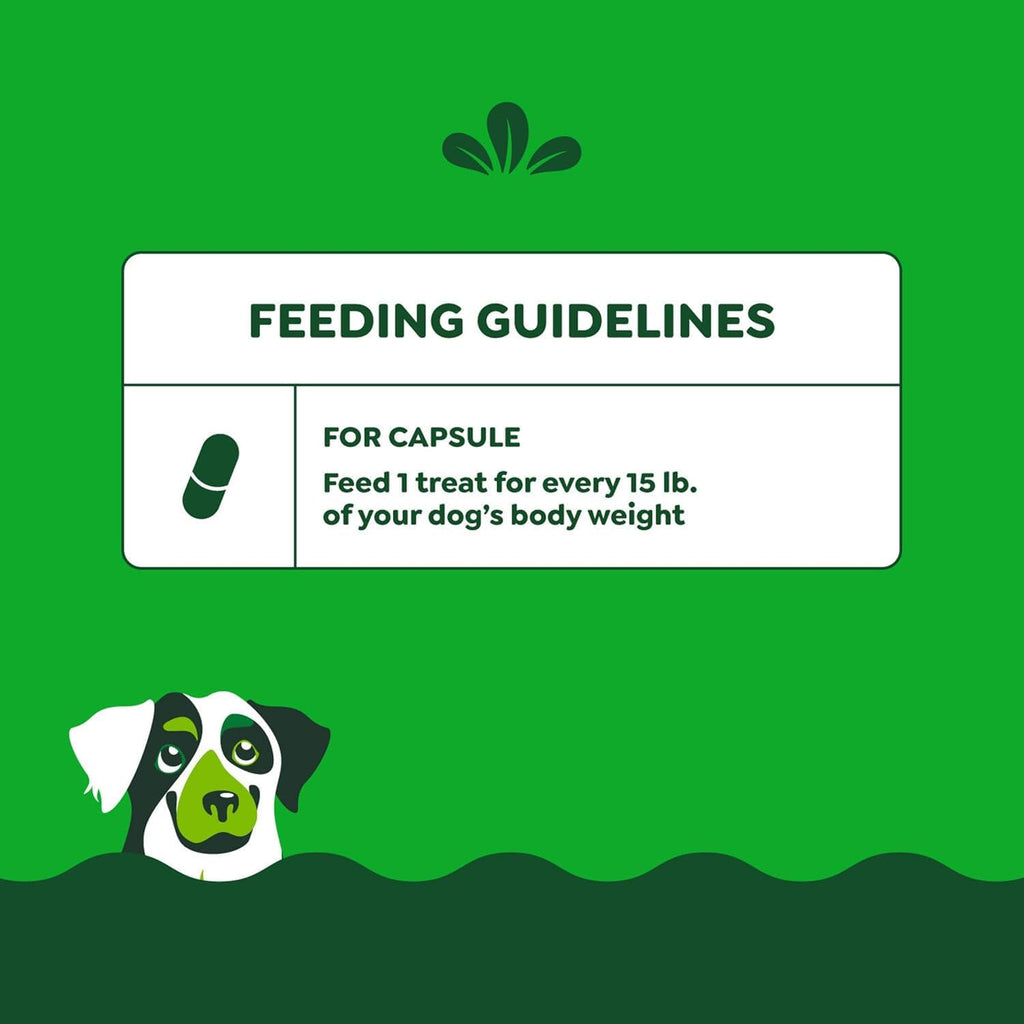 Chicken Flavor Capsule Treats for Dogs 15.8-Ounce 3 Pack Y240889