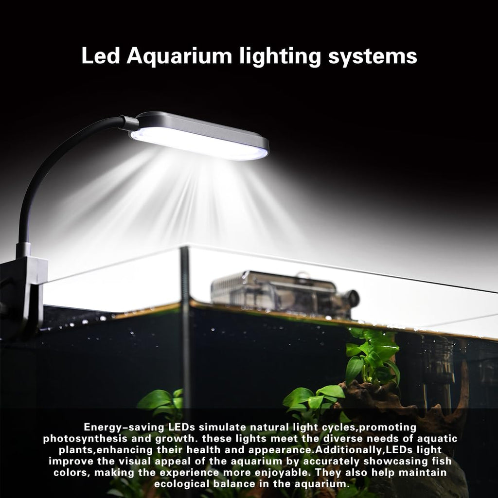 2.8 Gallon Glass Fish Tank with Light and Filter P79959