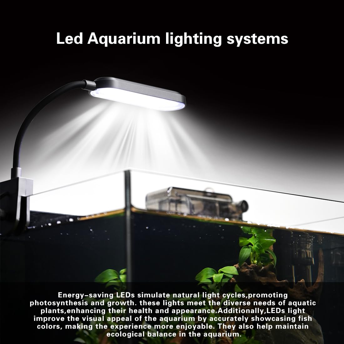 2.8 Gallon Glass Fish Tank with Light and Filter P79959