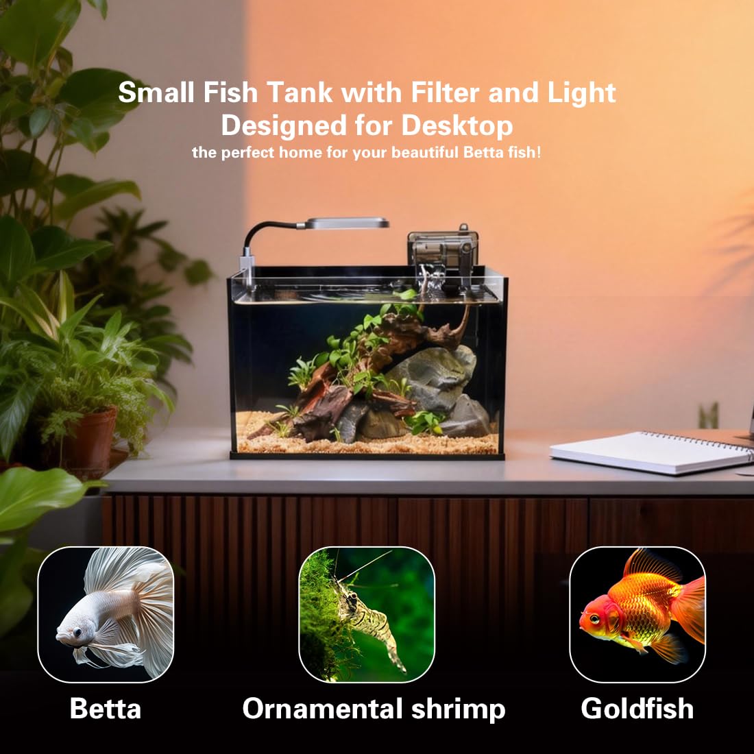 2.8 Gallon Glass Fish Tank with Light and Filter P79959