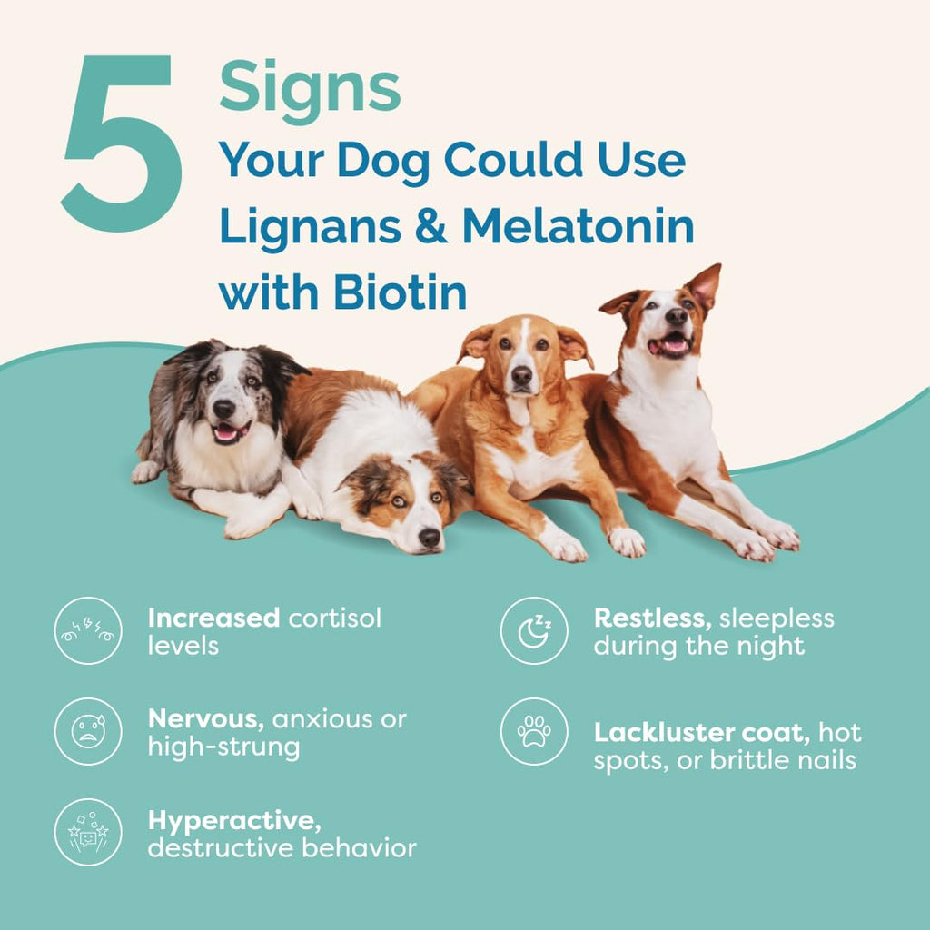 Lignans & Melatonin with Biotin Blend for Dogs Over 25 lb I86412