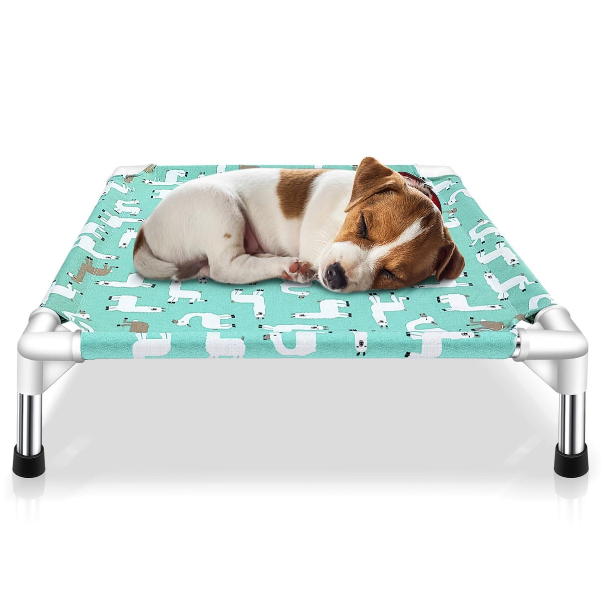 Elevated Dog Bed G77929