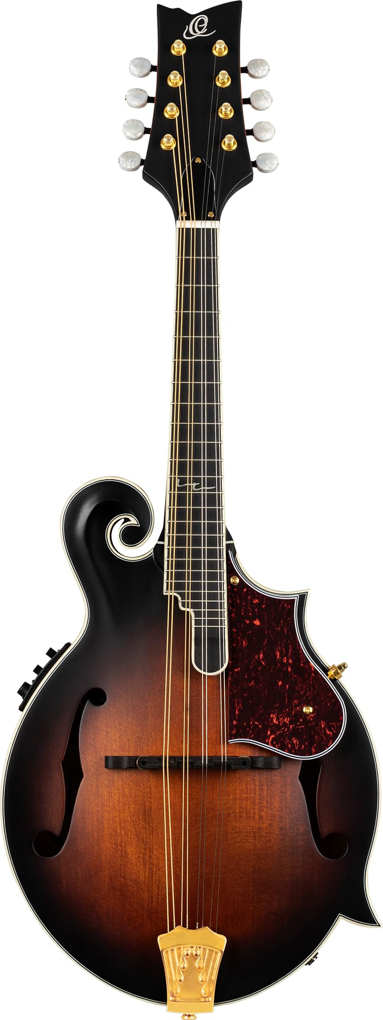 All Solid F-Style Acoustic-Electric Mandolin V6987