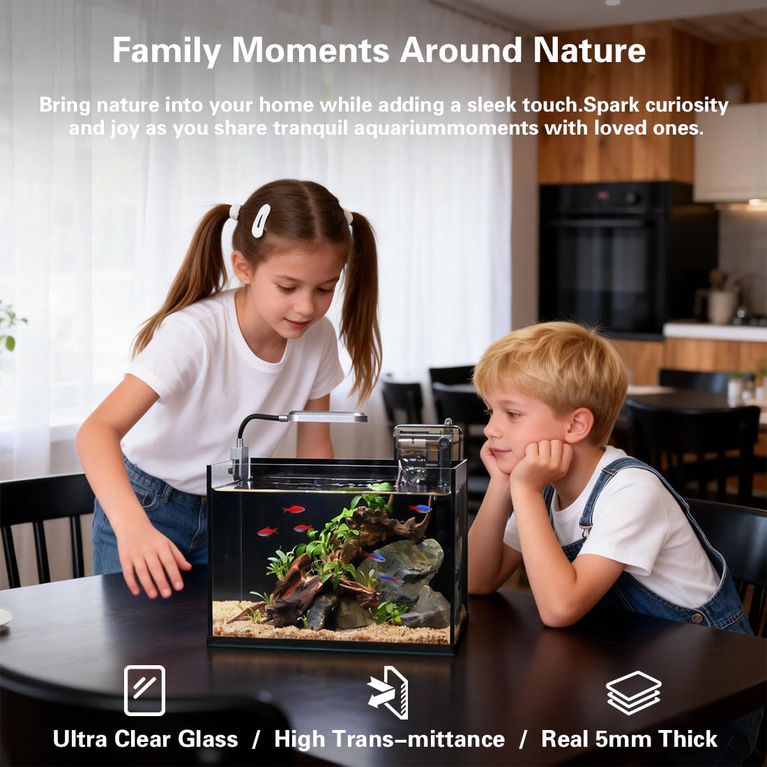 2.8 Gallon Glass Fish Tank with Light and Filter P79959