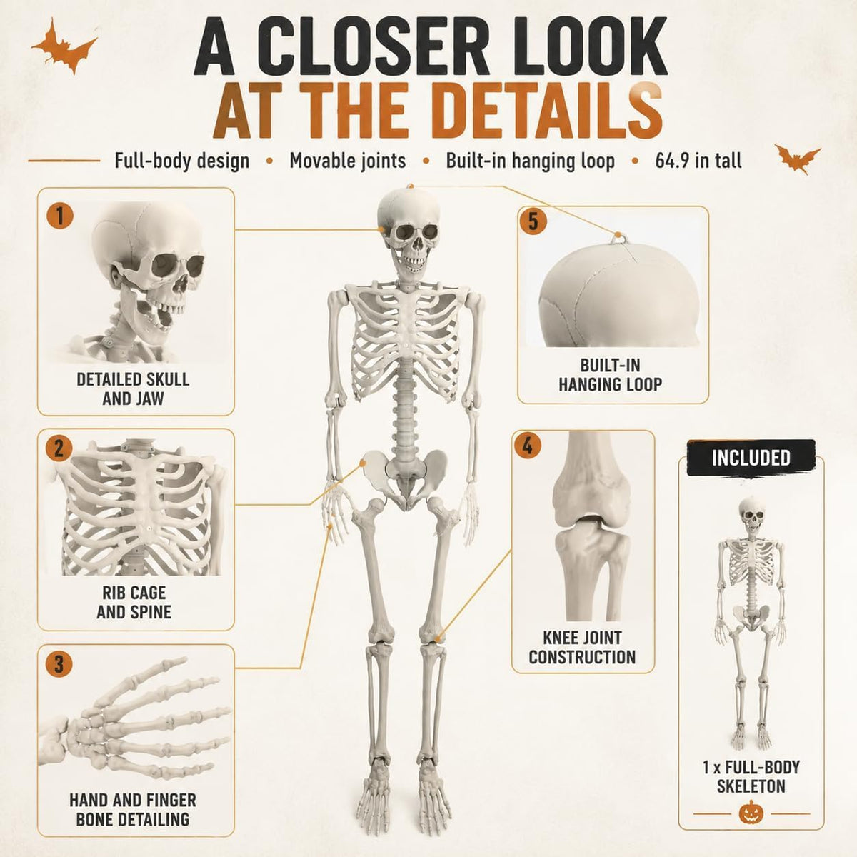 Life Size Posable Skeleton Prop Decoration N351538