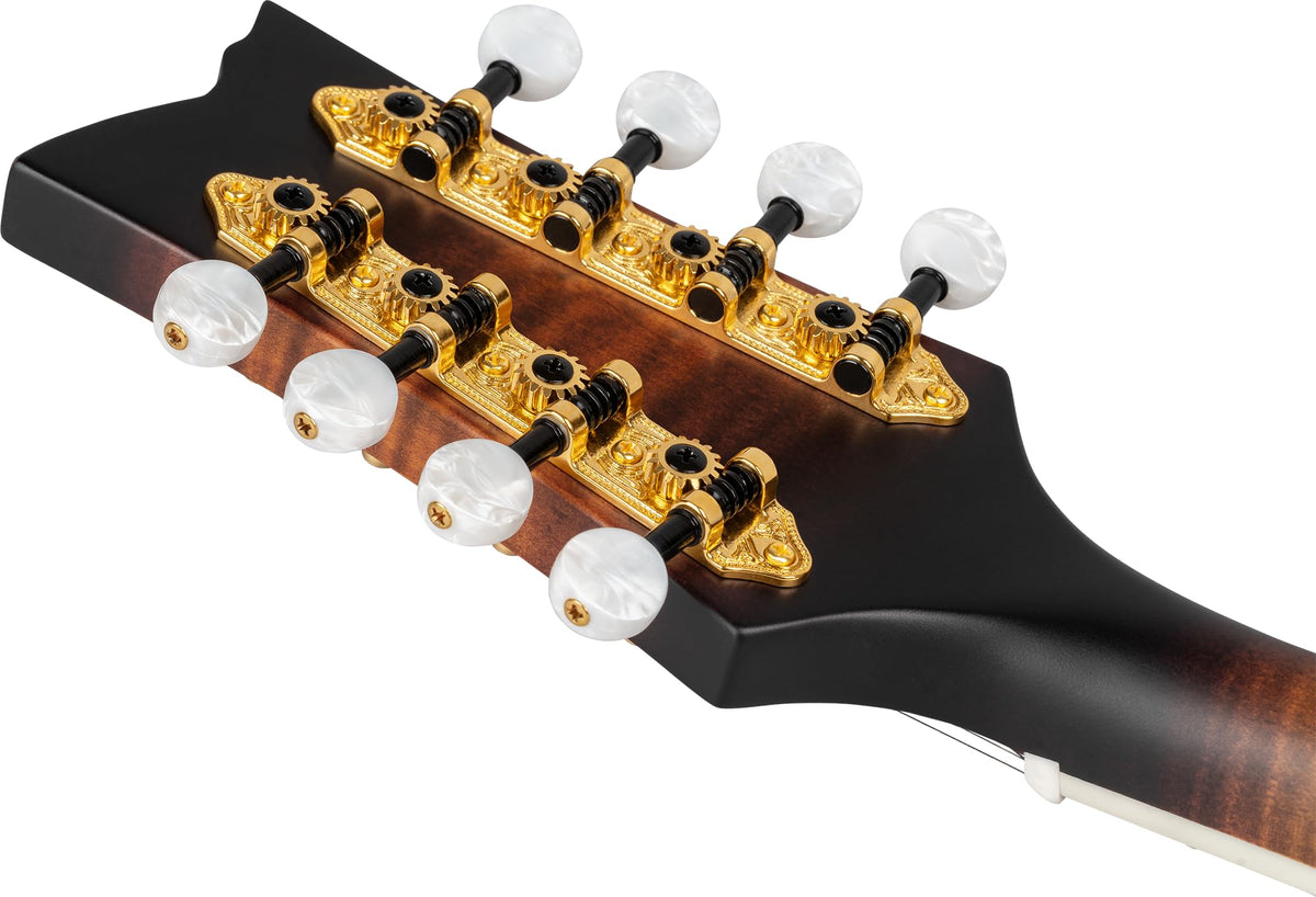 All Solid F-Style Acoustic-Electric Mandolin V6987