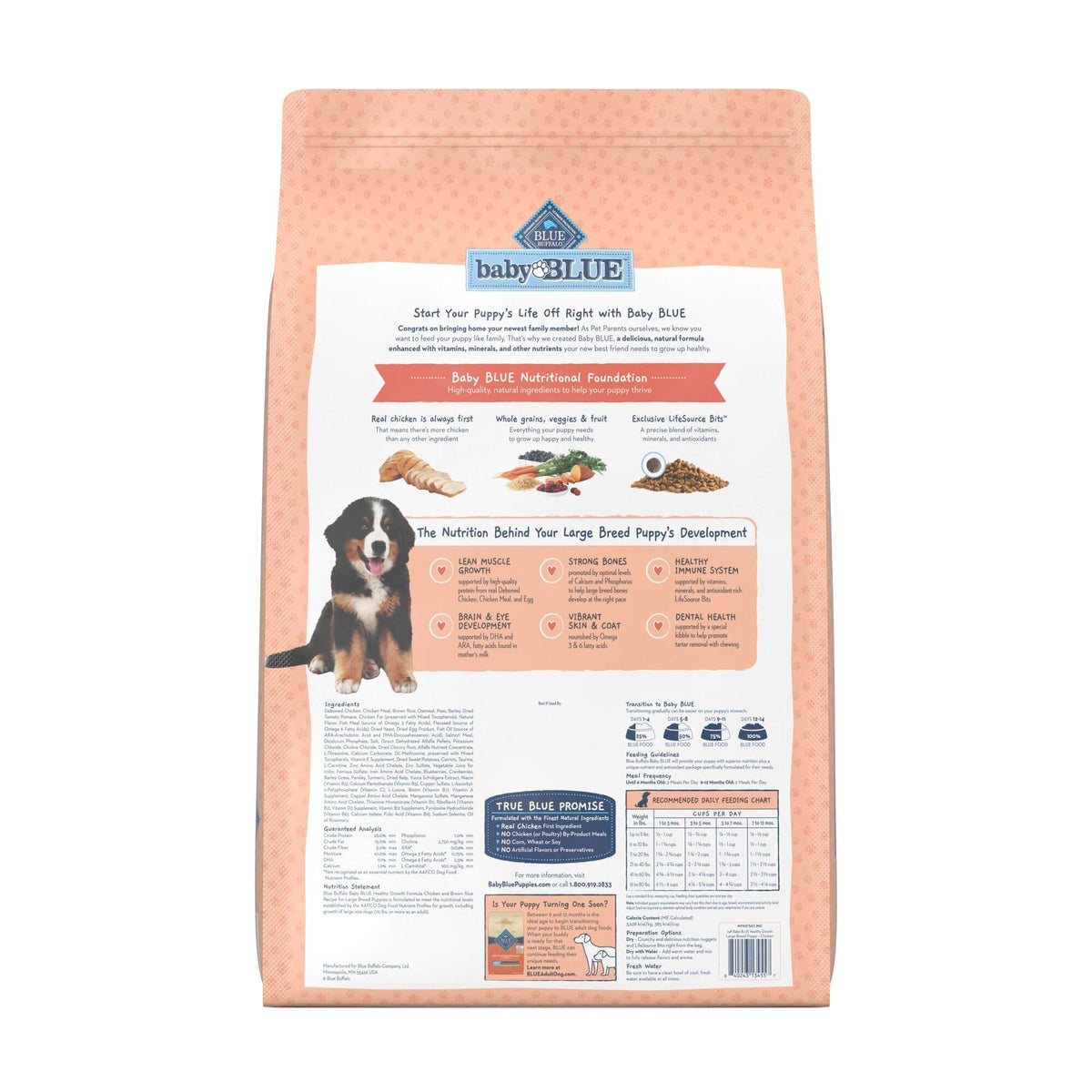 Large Breed Puppy Dry Dog Food Chicken and Brown Rice 24-lb Bag H8867