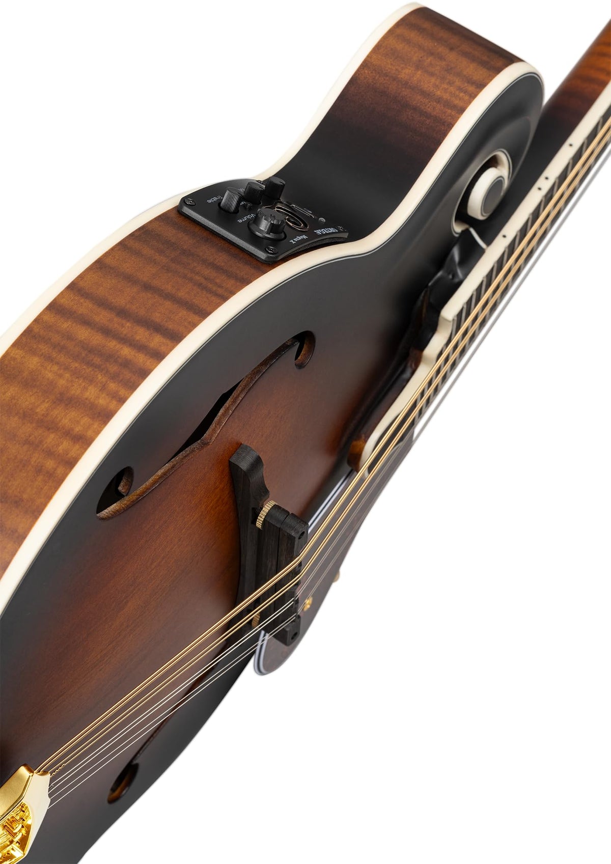 All Solid F-Style Acoustic-Electric Mandolin V6987
