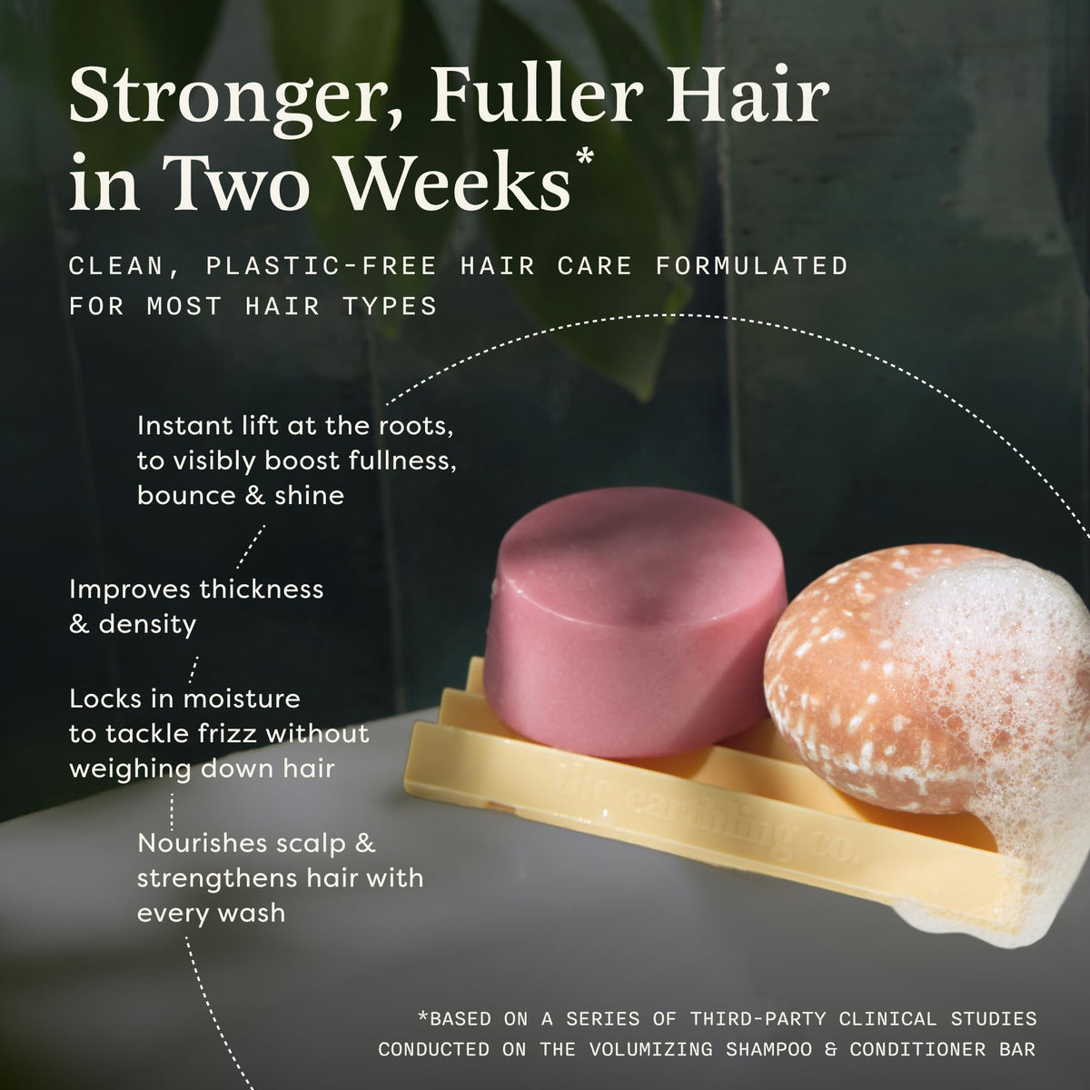 Shampoo & Conditioner Bar Set Y459959