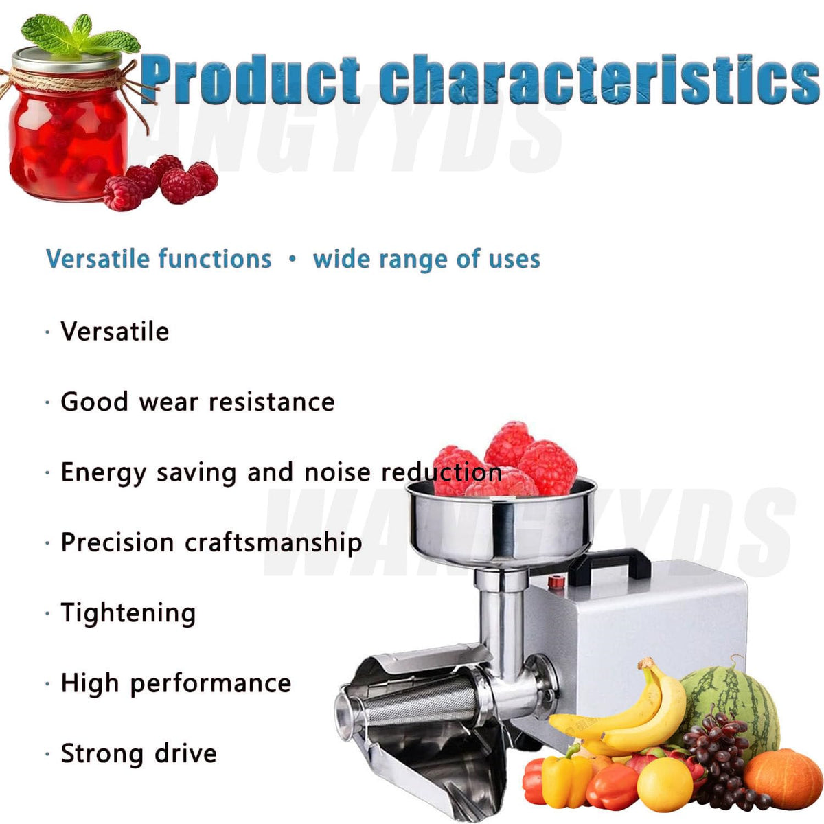 450W Stainless Steel Electric Tomato Mill L108959