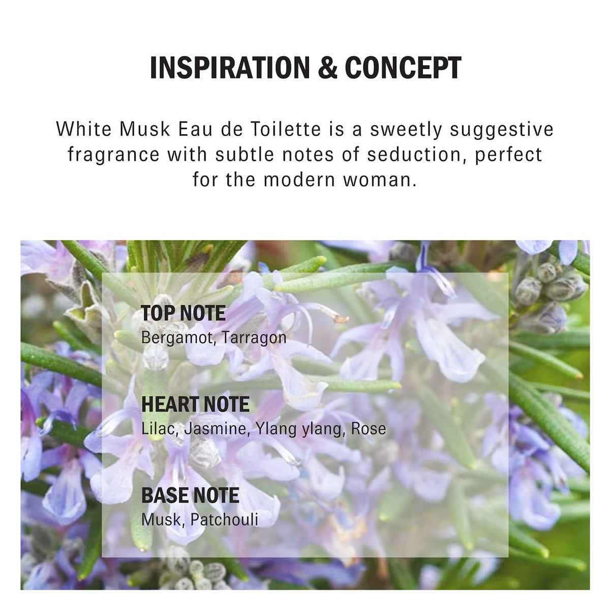 White Musk 1.7 oz EDT Spray D7945