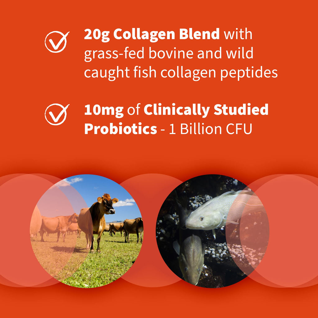 Marine & Grass-Fed Collagen Peptides Powder with Probiotics & BCAAs Unflavored M1431