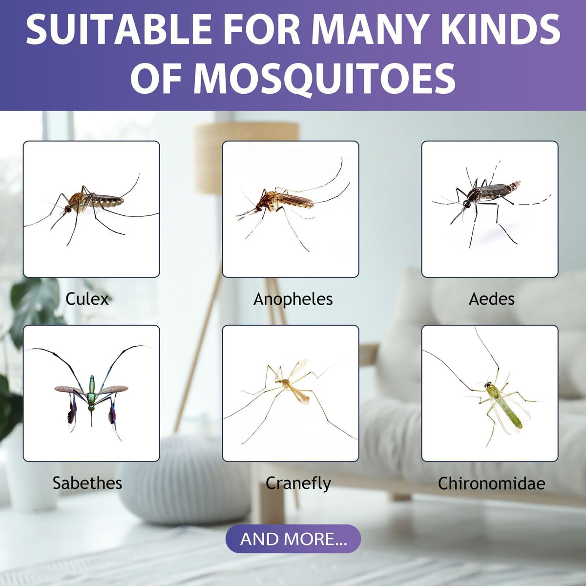 Mosquito Attractant Bait Refill W6583