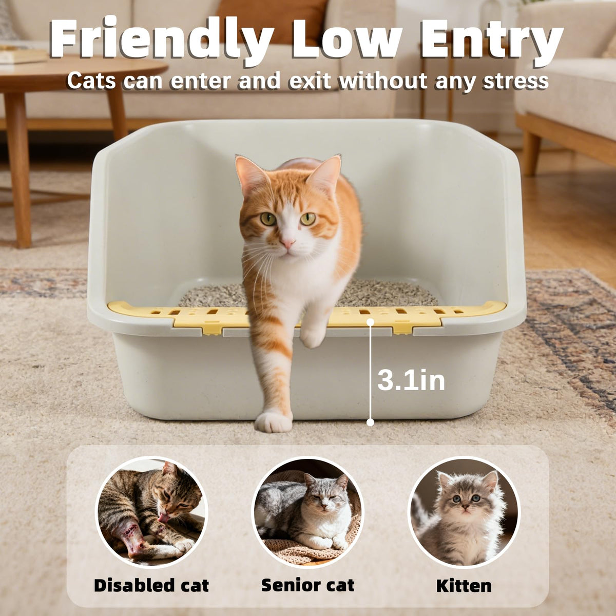High Sides Open Top Cat Litter Box with Low Entry W29923