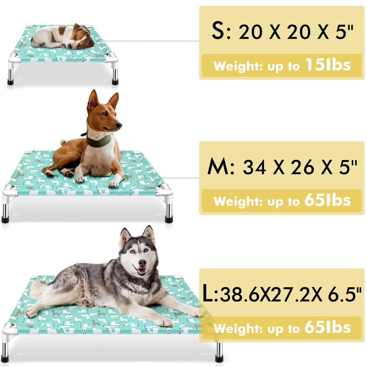 Elevated Dog Bed G77929