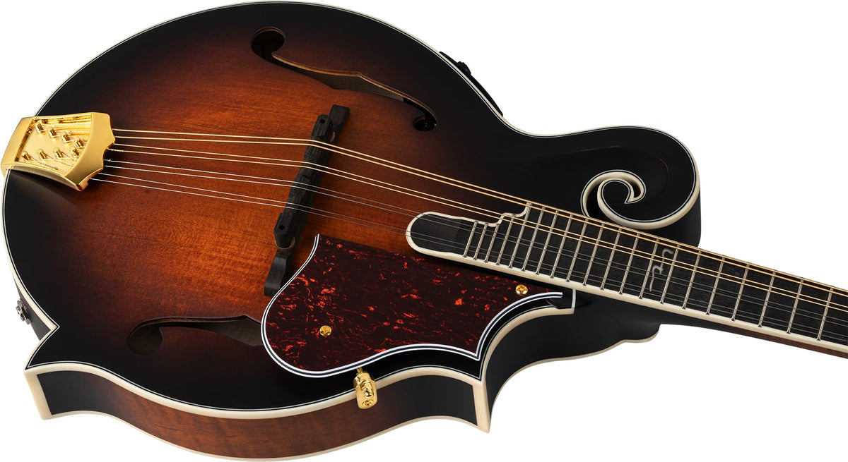All Solid F-Style Acoustic-Electric Mandolin V6987