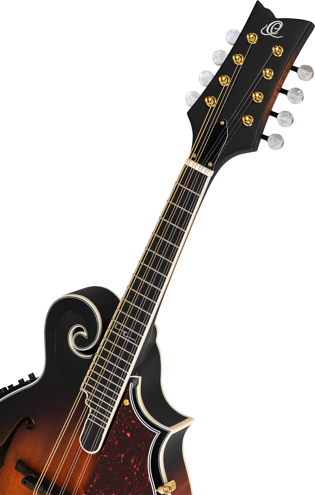 All Solid F-Style Acoustic-Electric Mandolin V6987