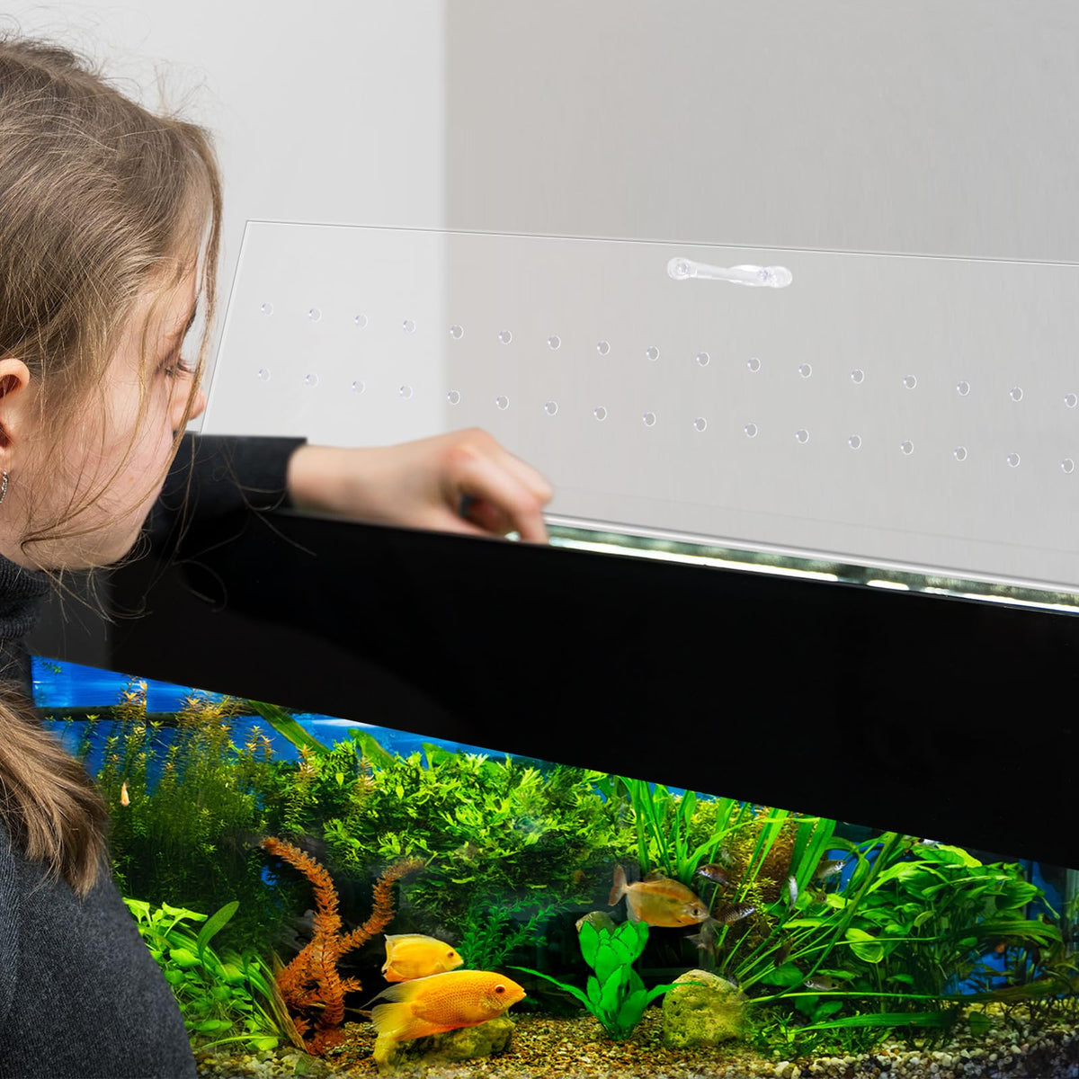 Clear Polycarbonate Aquarium Canopy Set 2 Pcs with Handle L398498
