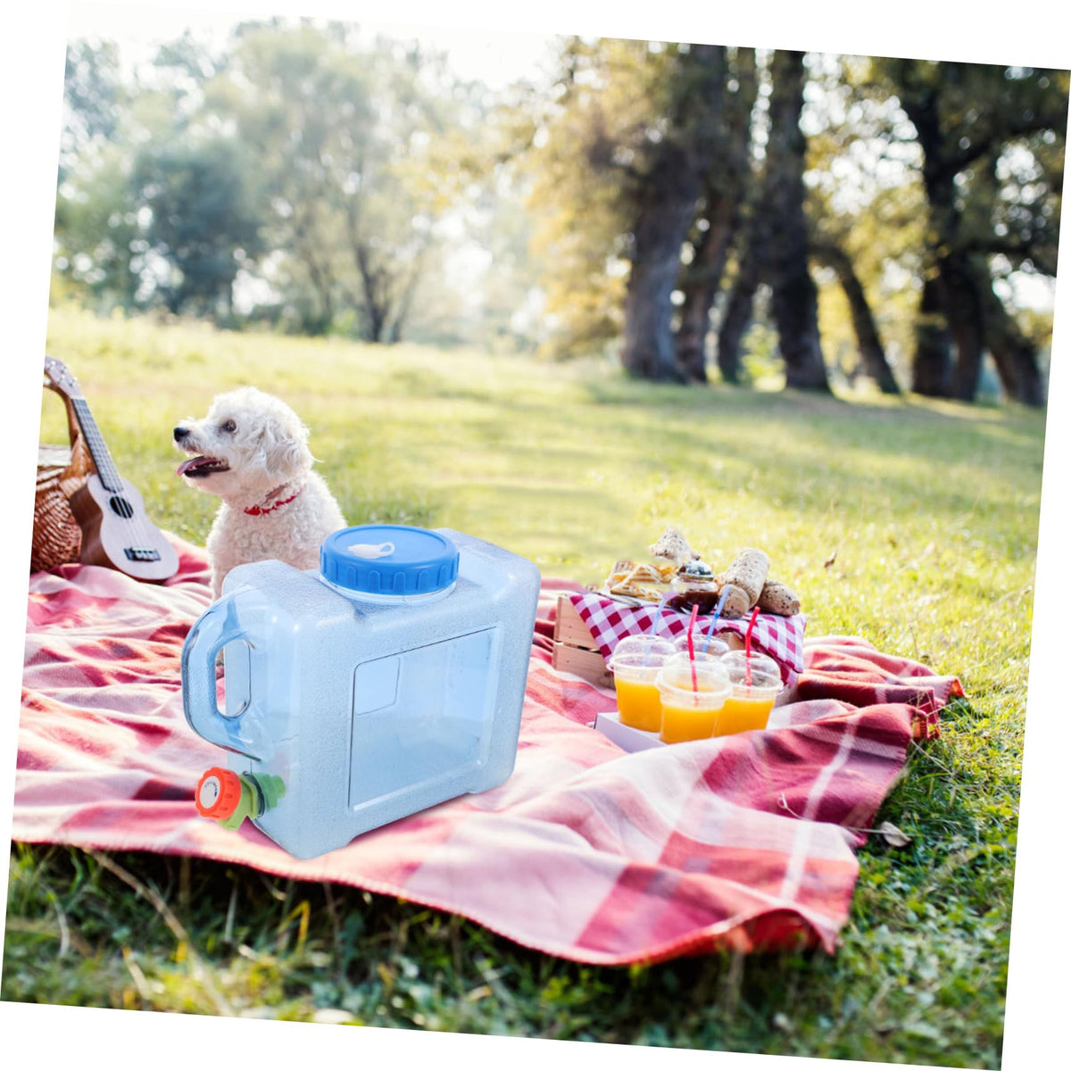 Portable 5L Blue Water Bucket V802133