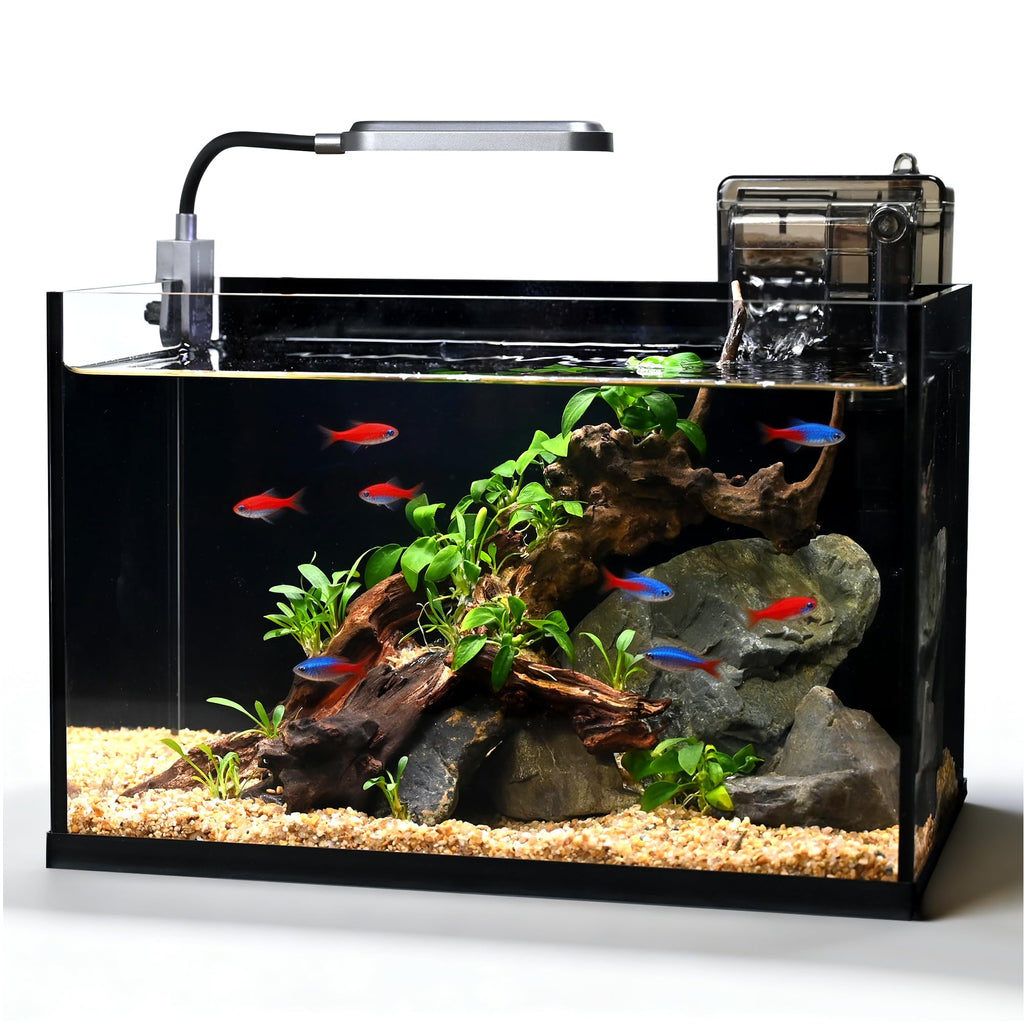 2.8 Gallon Glass Fish Tank with Light and Filter P79959