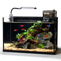 2.8 Gallon Glass Fish Tank with Light and Filter P79959