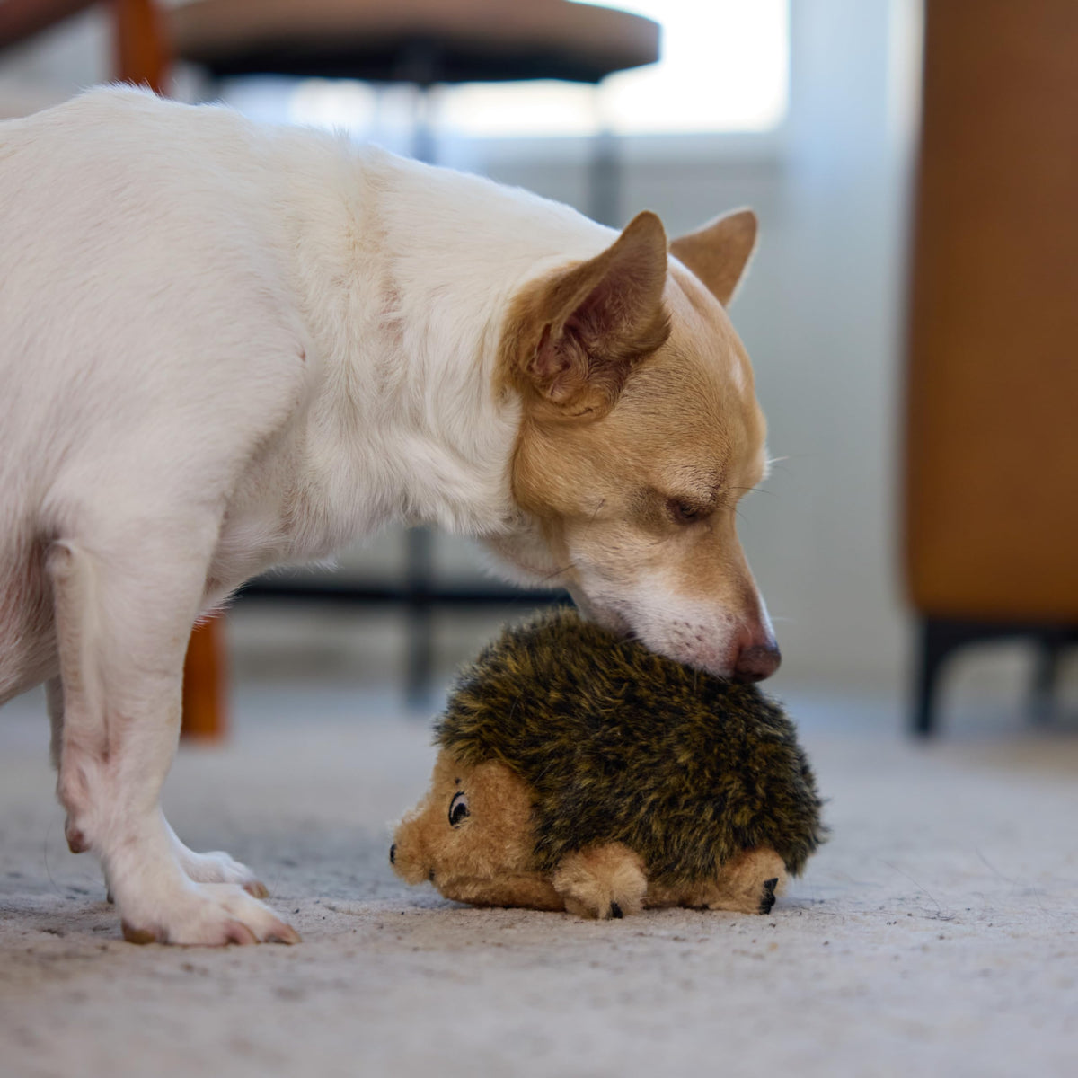 Plush Dog Toy V2776