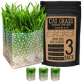 Organic Cat Grass Kit 3 Pack Non GMO Heirloom Seeds I4463