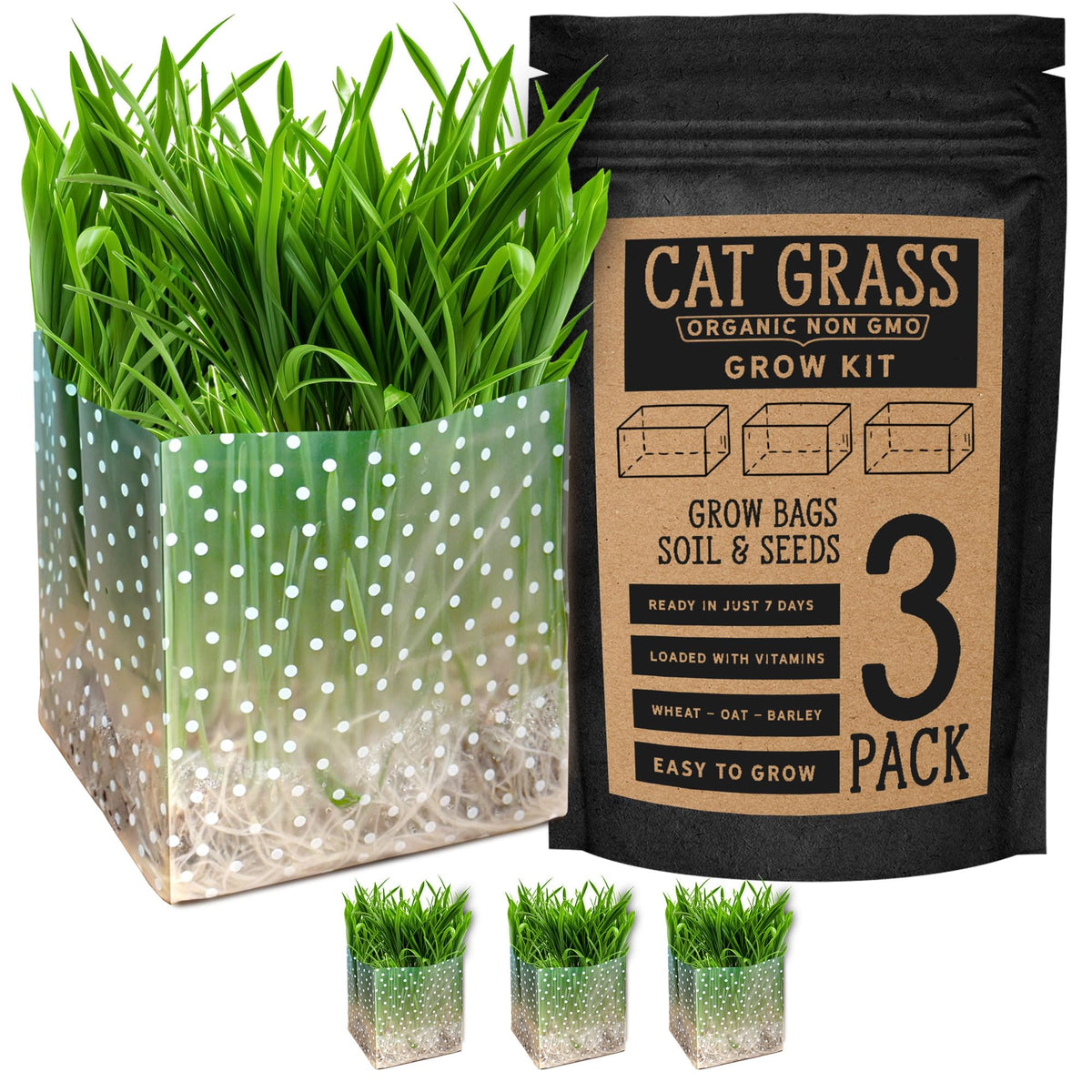 Organic Cat Grass Kit 3 Pack Non GMO Heirloom Seeds I4463