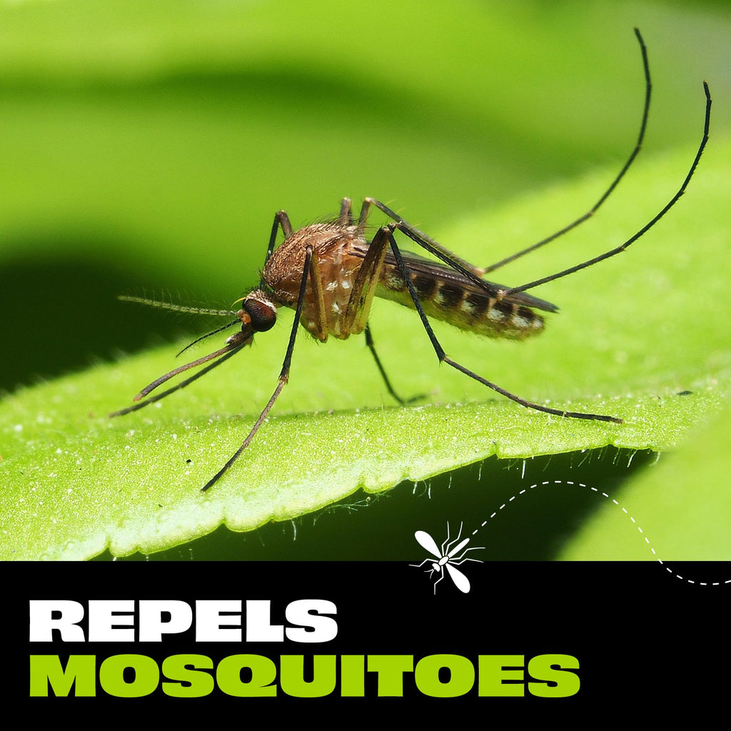 Mosquito Repellent Spray with Botanical Extracts 4 fl oz B7923