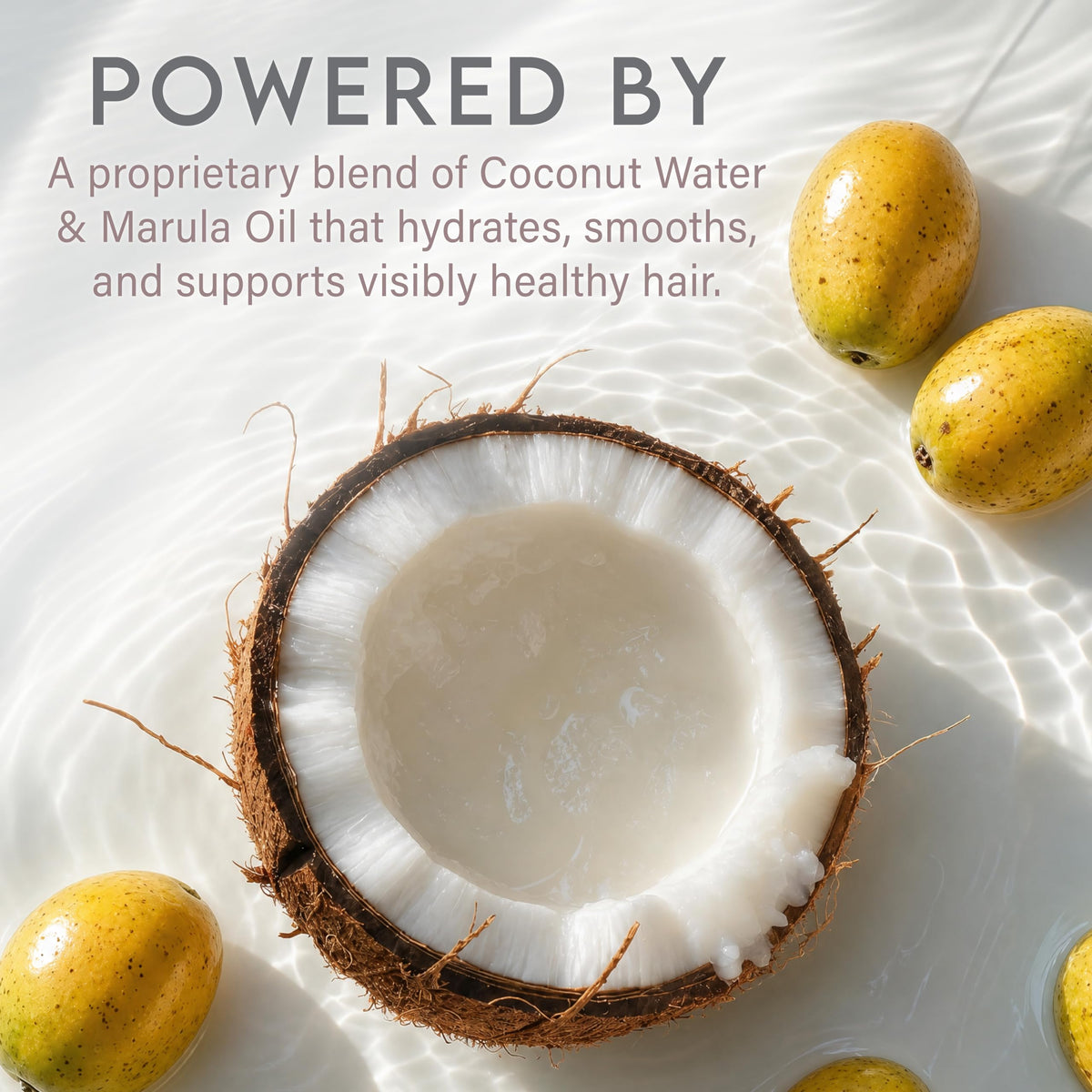 Coconut Water Based Shampoo & Conditioner Set F556