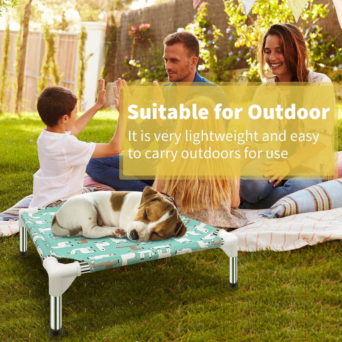 Elevated Dog Bed G77929