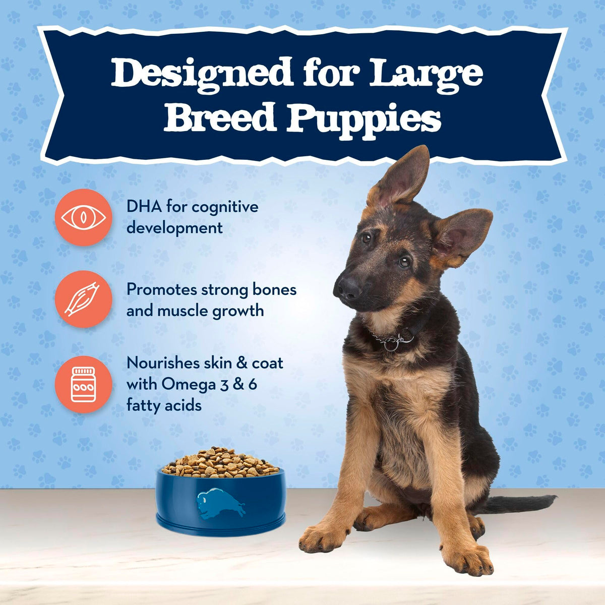 Large Breed Puppy Dry Dog Food Chicken and Brown Rice 24-lb Bag H8867