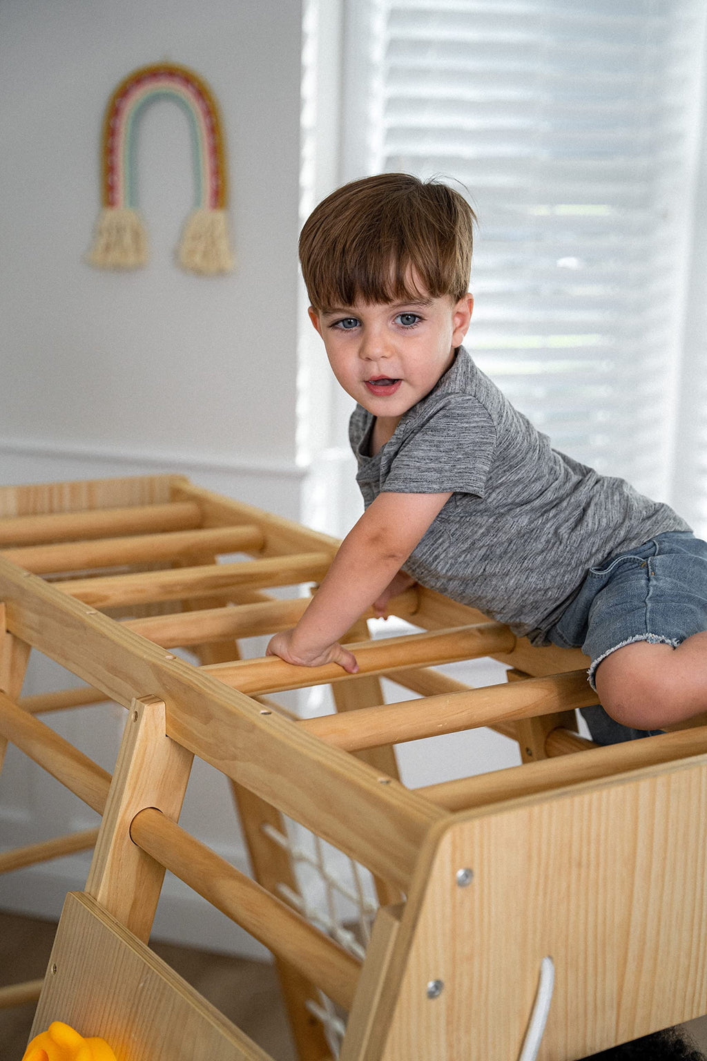 Indoor Jungle Gym for Kids V174772