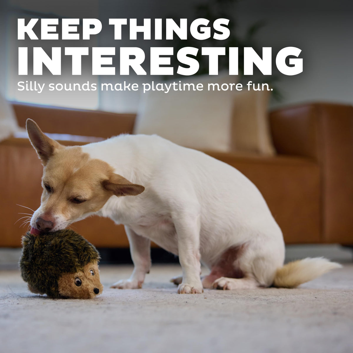 Plush Dog Toy V2776