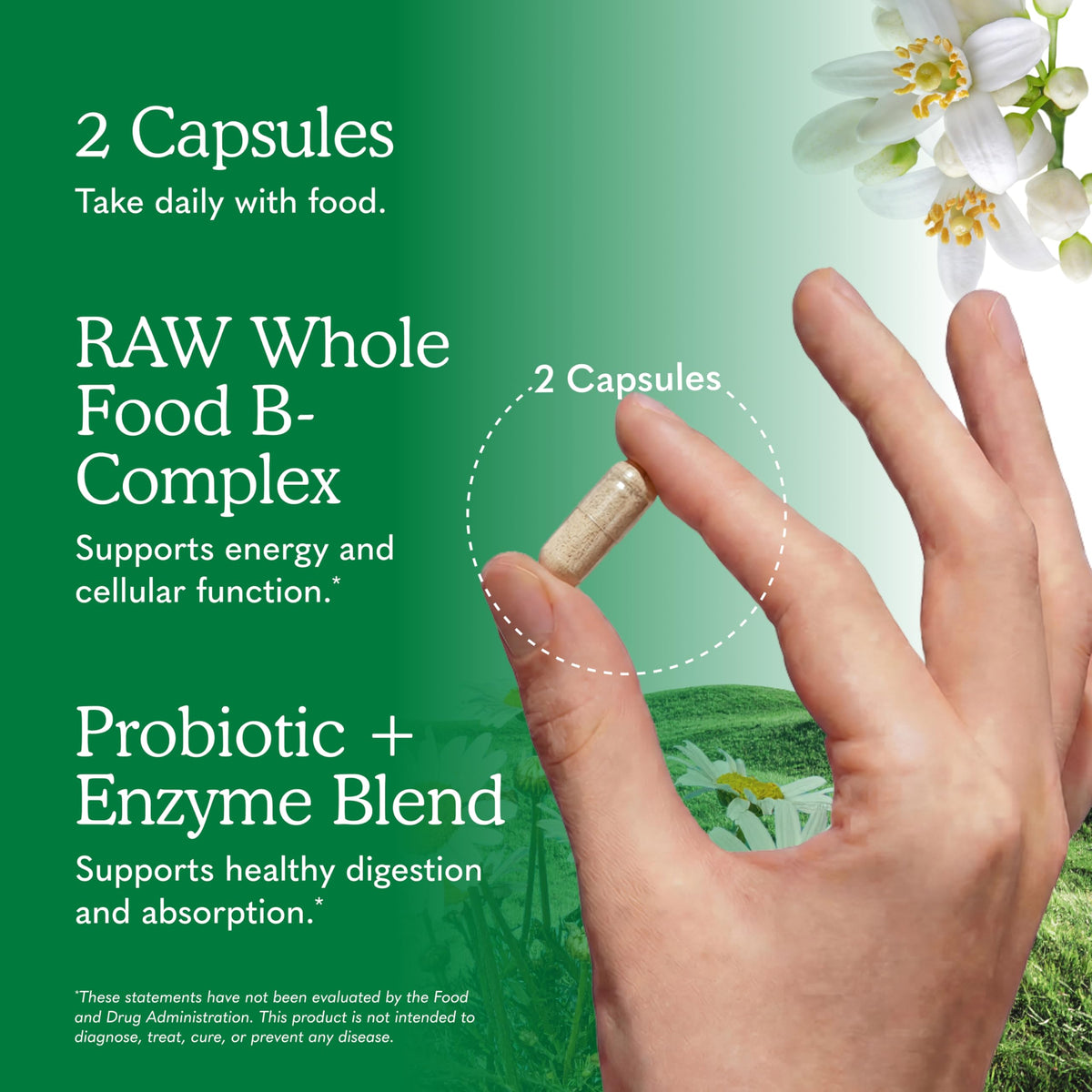 120 Vegan Capsules B-Complex L7338