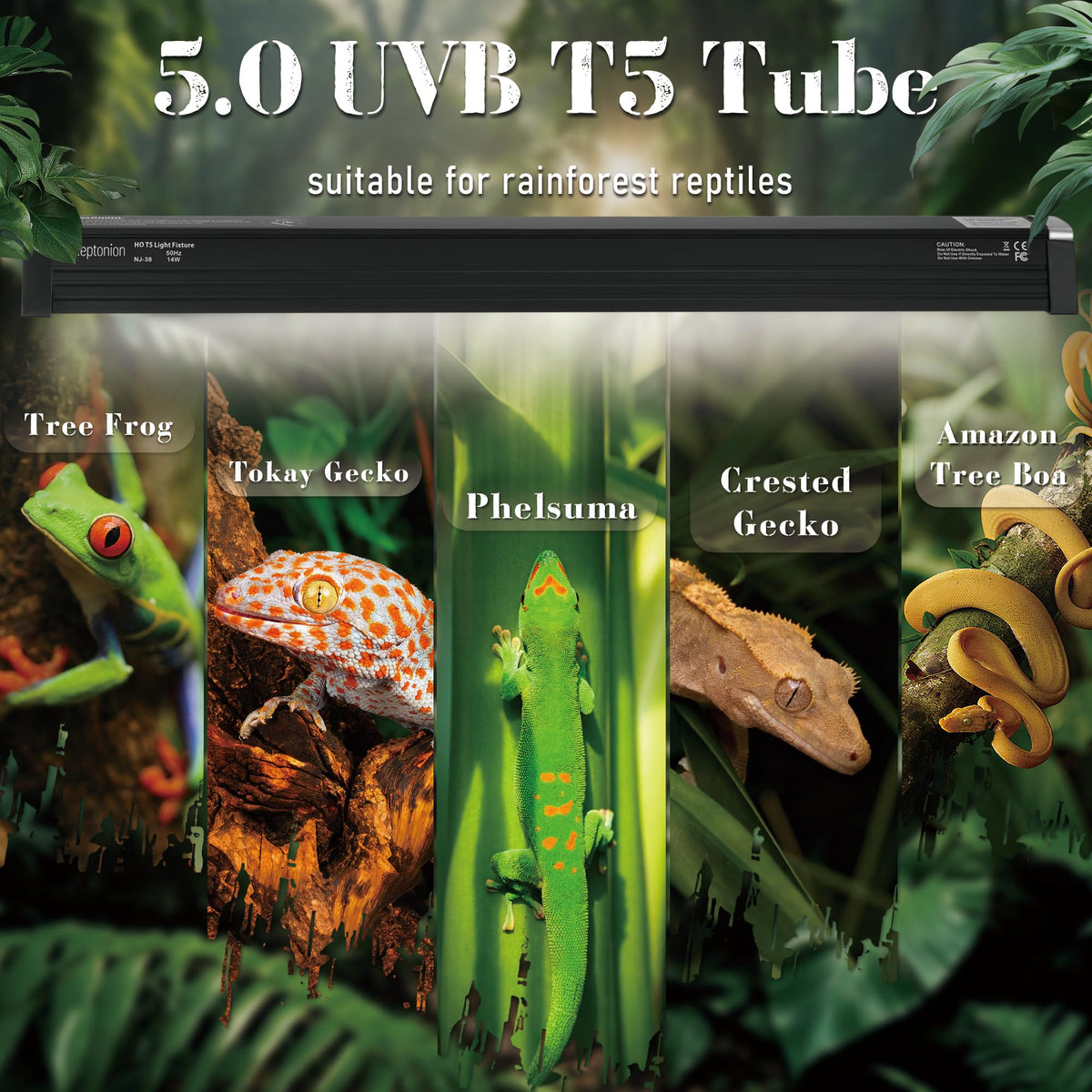 T5 HO UVB 5.0 Light Fixture with Tube G509
