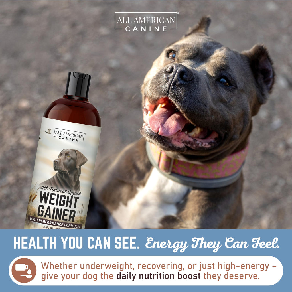 High Calorie Dog Weight Gainer Liquid 16 oz L5442