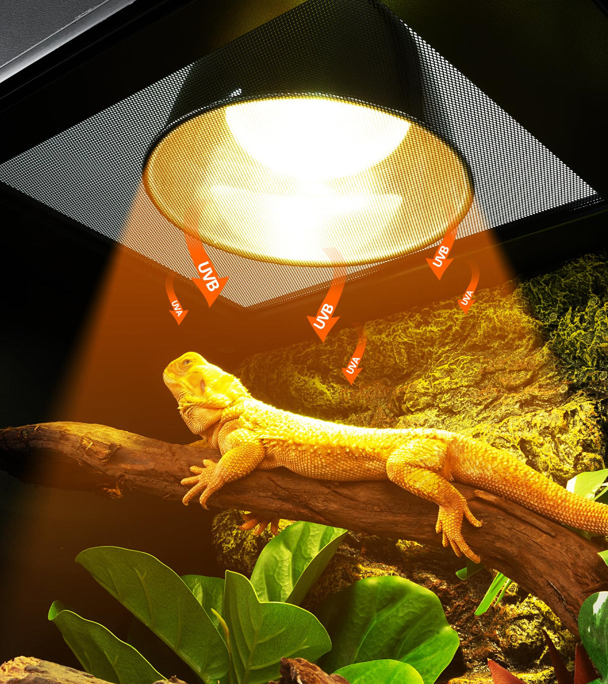160W Reptile Heat Lamp UVA UVB Bulbs with 8.5 Inch Light Fixture X77561