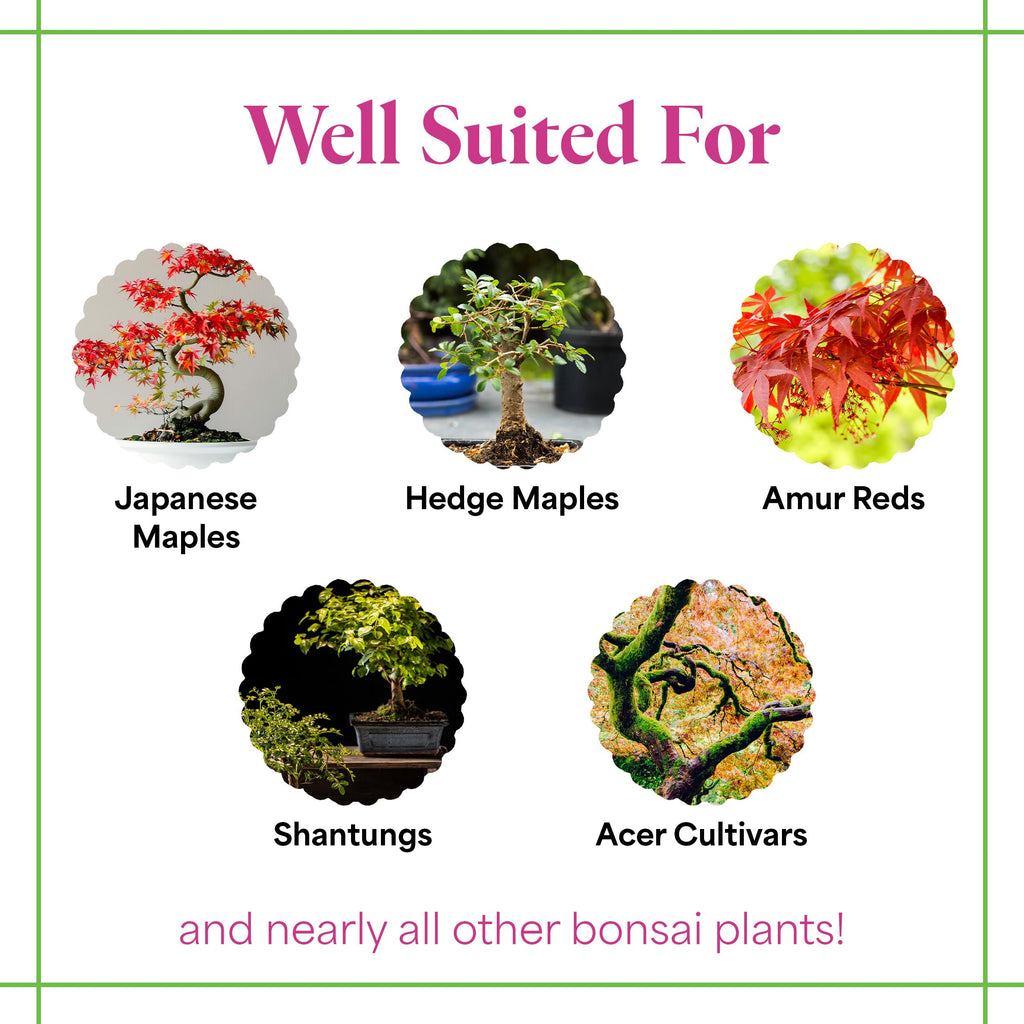 Organic Liquid Bonsai Fertilizer 8 oz Concentrate R7124
