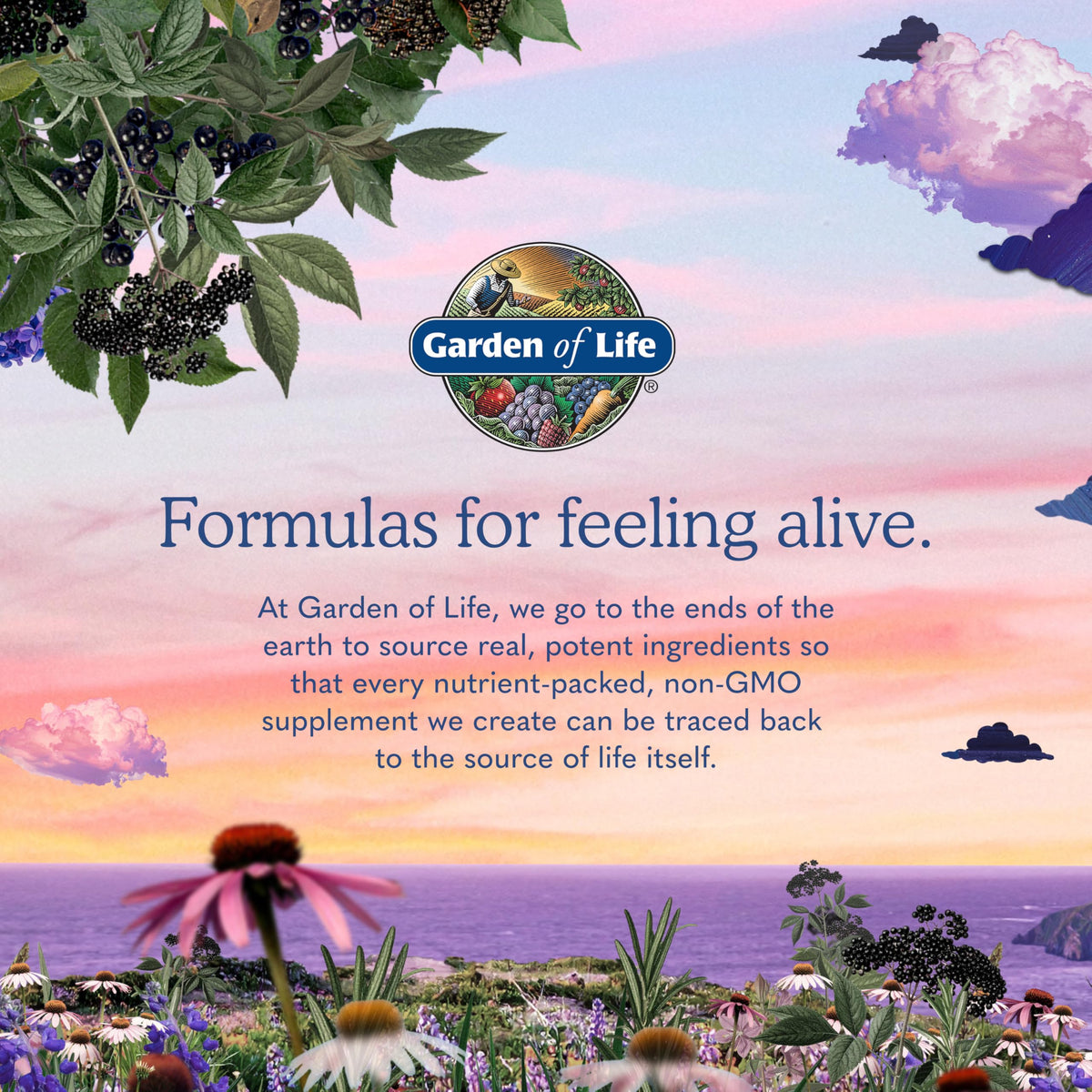 120 Vegan Capsules B-Complex L7338