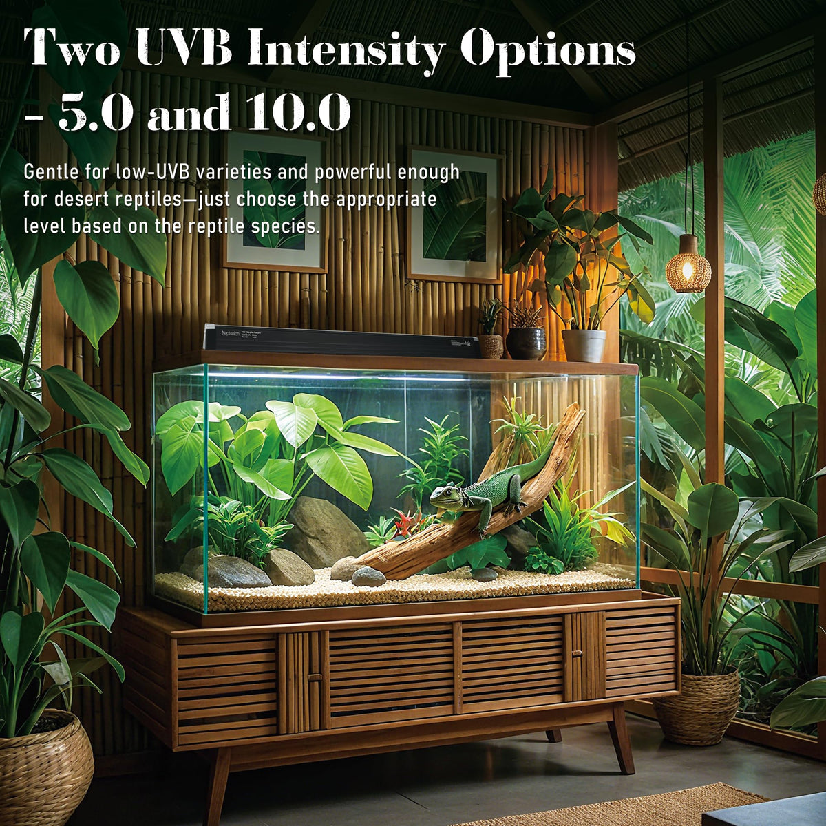 T5 HO UVB 5.0 Light Fixture with Tube G509
