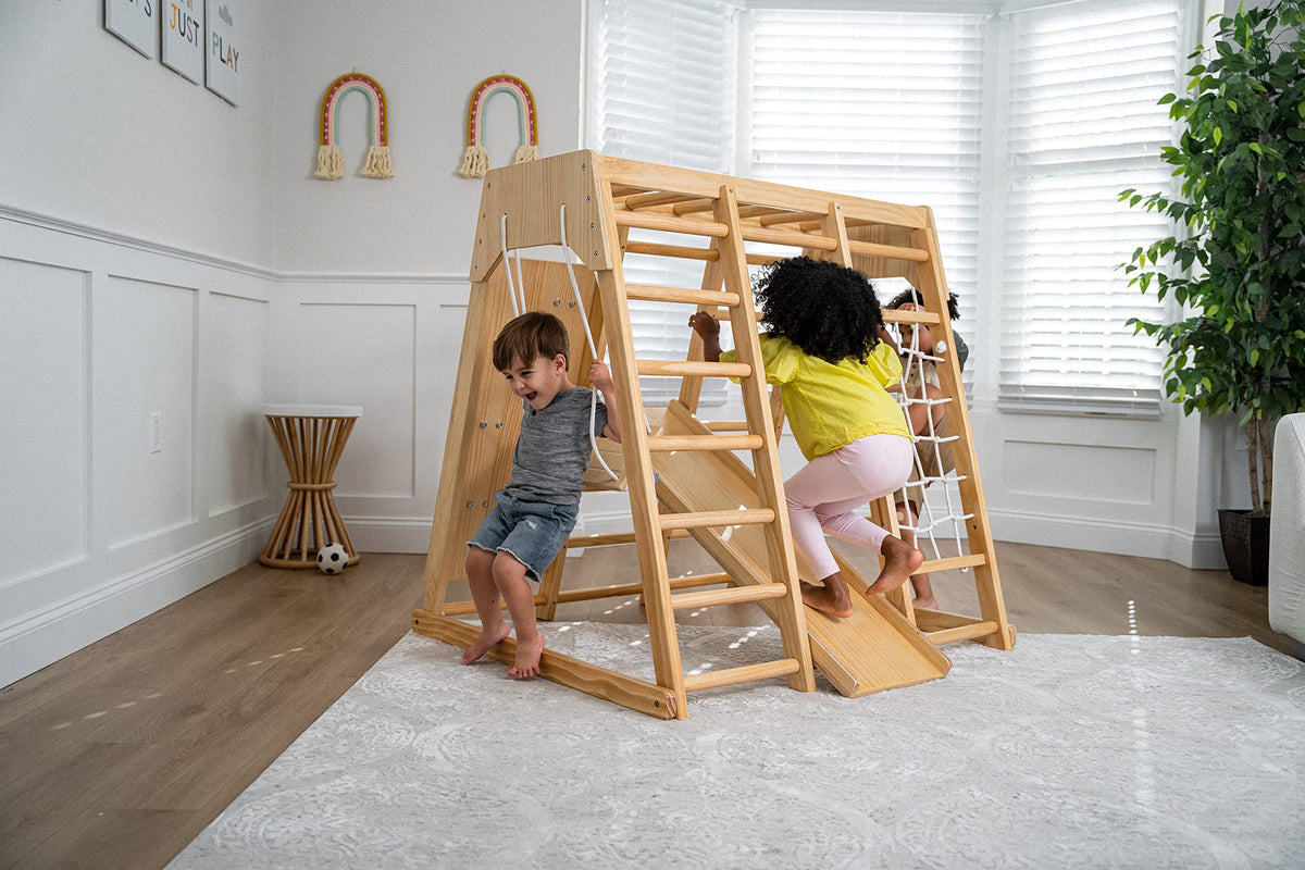 Indoor Jungle Gym for Kids V174772